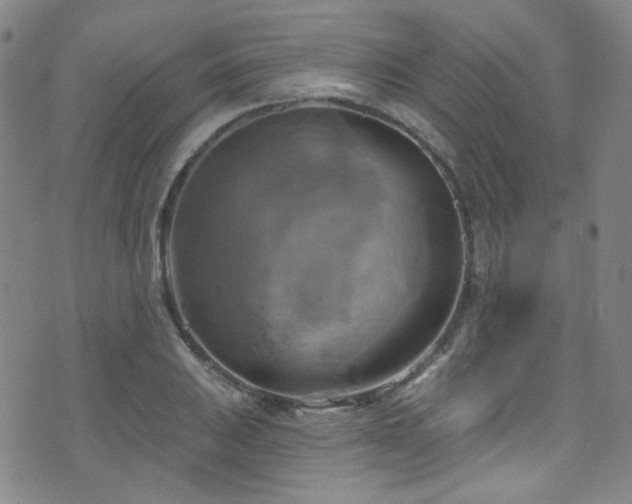 X0000075901031200609151406