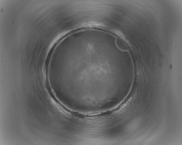 X0000075901032200609151406