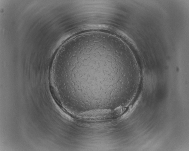 X0000075901033200609151406