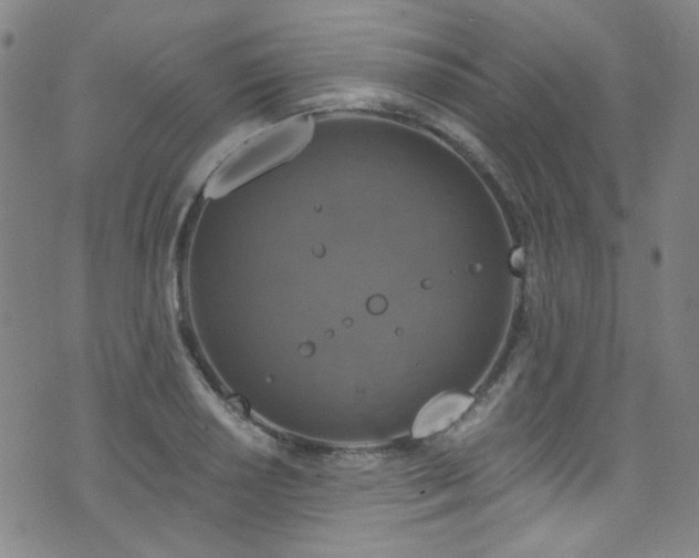 X0000075901034200609151406