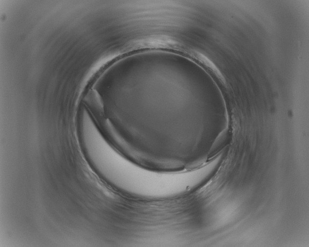 X0000075901035200609151406