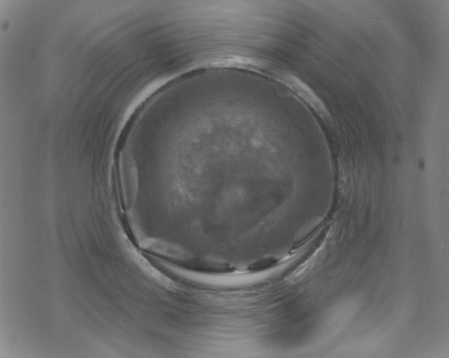 X0000075901036200609151406