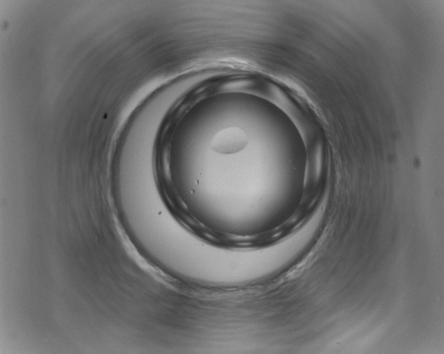 X0000075901038200609151406