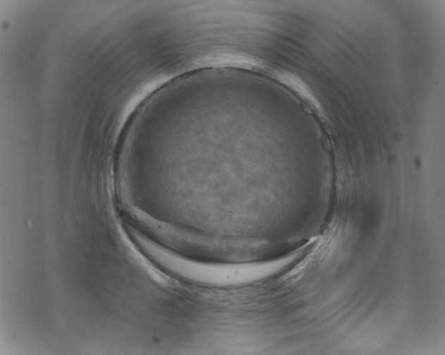 X0000075901040200609151406