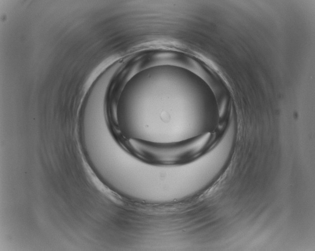 X0000075901042200609151406