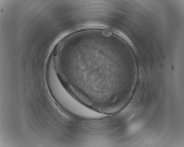 X0000075901043200609151406