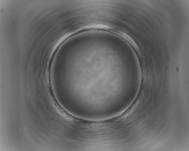 X0000075901044200609151406