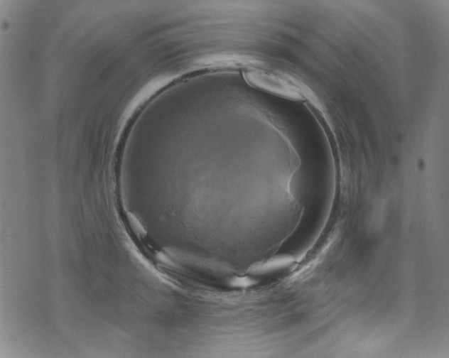 X0000075901045200609151406