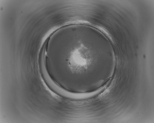 X0000075901046200609151406