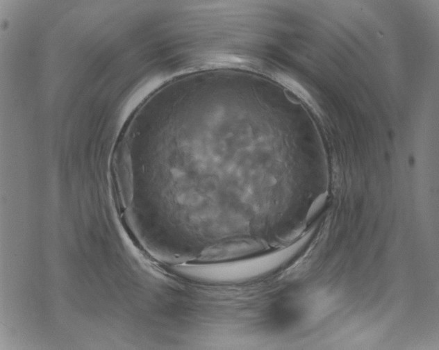 X0000075901047200609151406