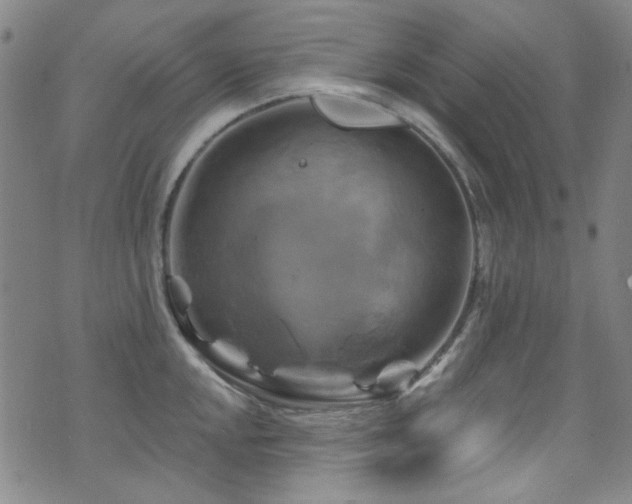 X0000075901048200609151406