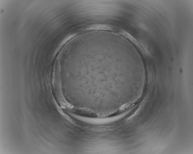 X0000075901049200609151406