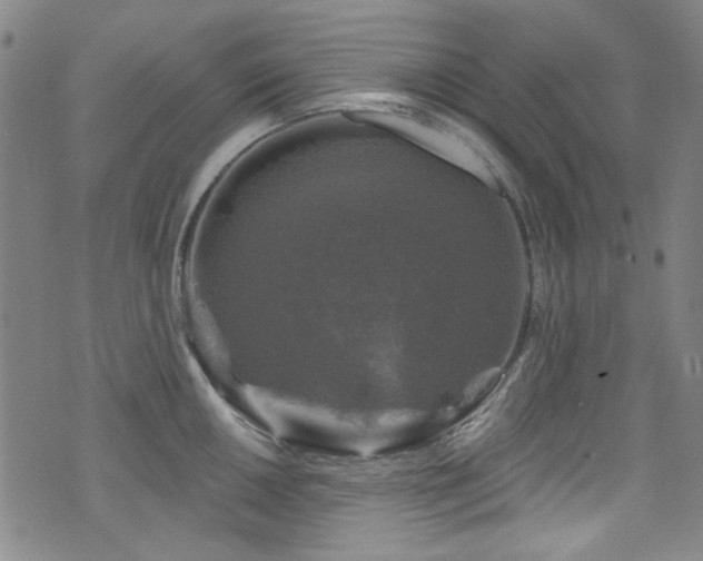 X0000075901050200609151406