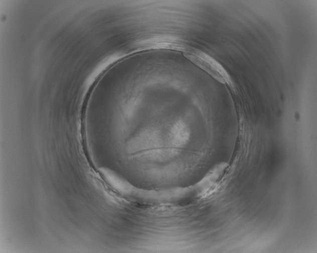 X0000075901051200609151406