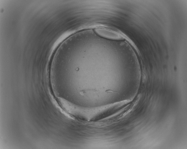 X0000075901053200609151406