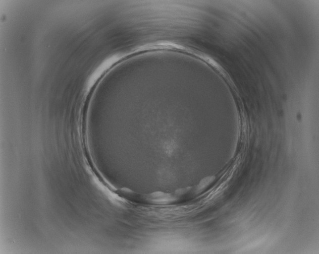 X0000075901054200609151406