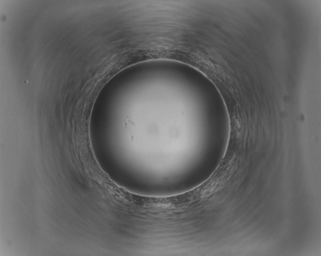 X0000075901057200609151406