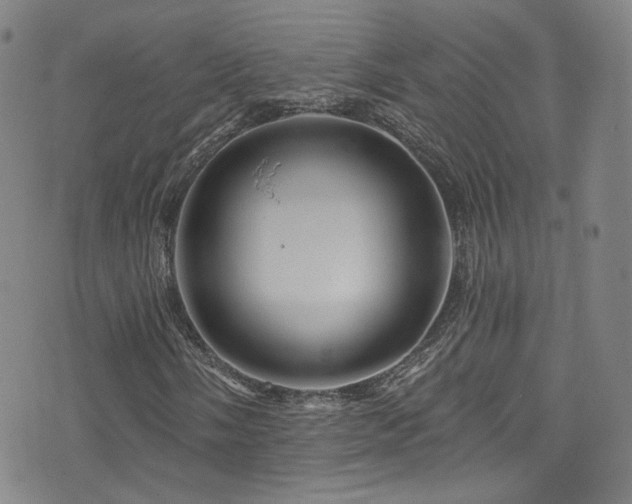X0000075901058200609151406