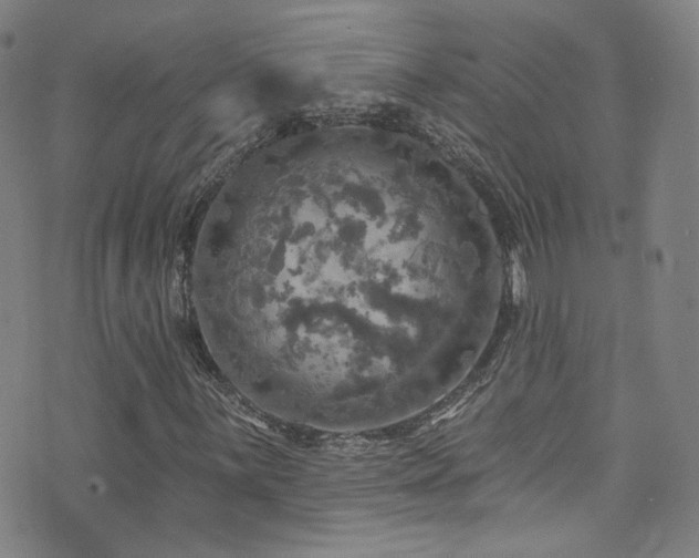 X0000075901059200609151406