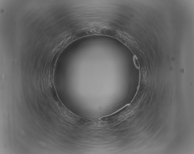 X0000075901060200609151406