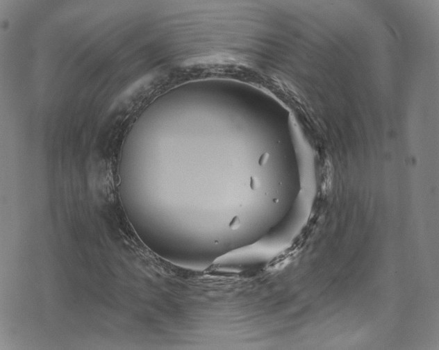 X0000075901062200609151406