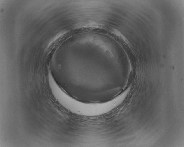 X0000075901064200609151406