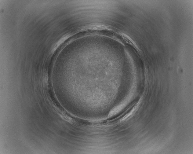 X0000075901065200609151406