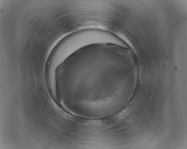 X0000075901068200609151405