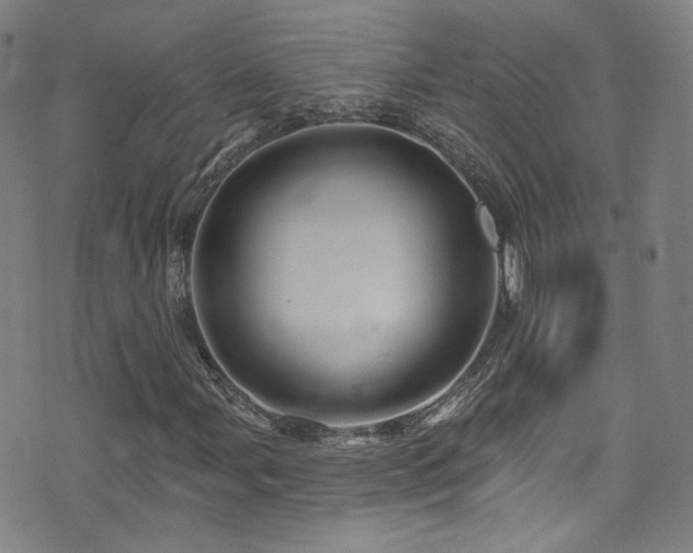 X0000075901107200609151404