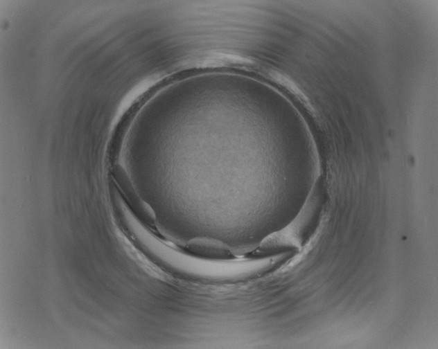 X0000075901122200609151404