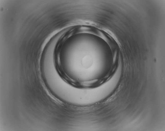 X0000075901128200609151404