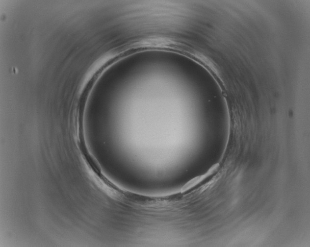 X0000075901131200609151405