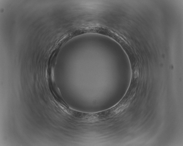 X0000075901156200609151404