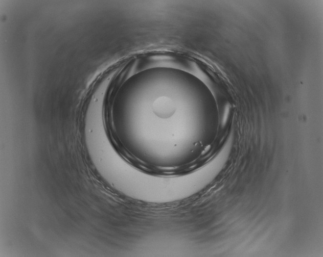 X0000075901160200609151404