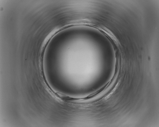 X0000075901196200609151403