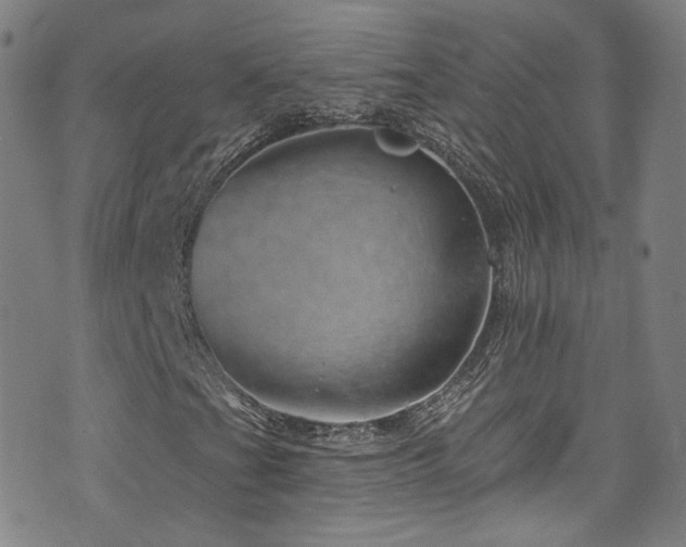 X0000075901201200609151402