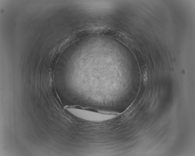 X0000075901204200609151403