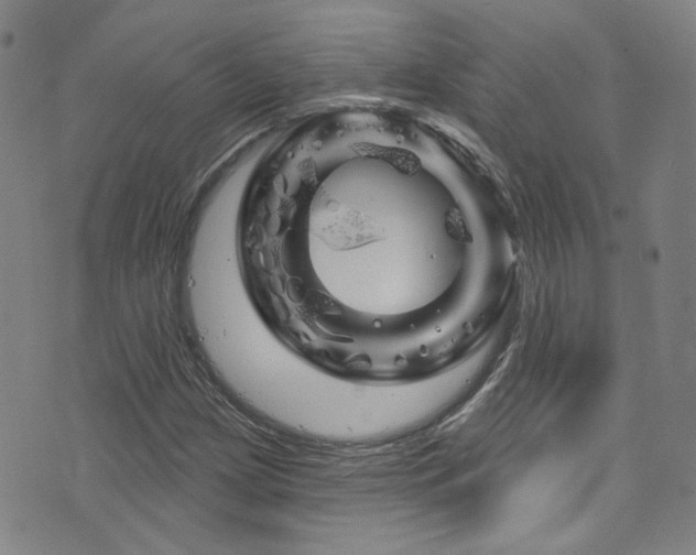 X0000075901209200609151403