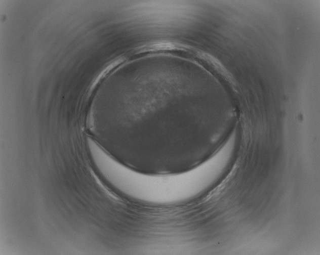 X0000075901225200609151403