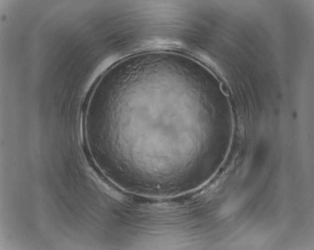 X0000075901227200609151403