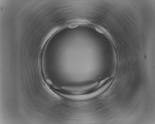 X0000075901243200609151403