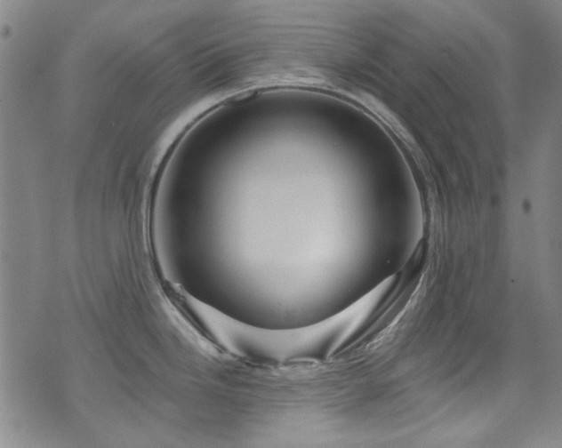 X0000075901246200609151403