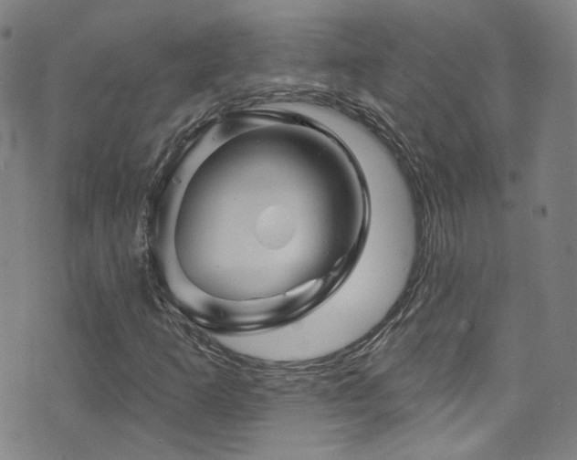 X0000075901253200609151402