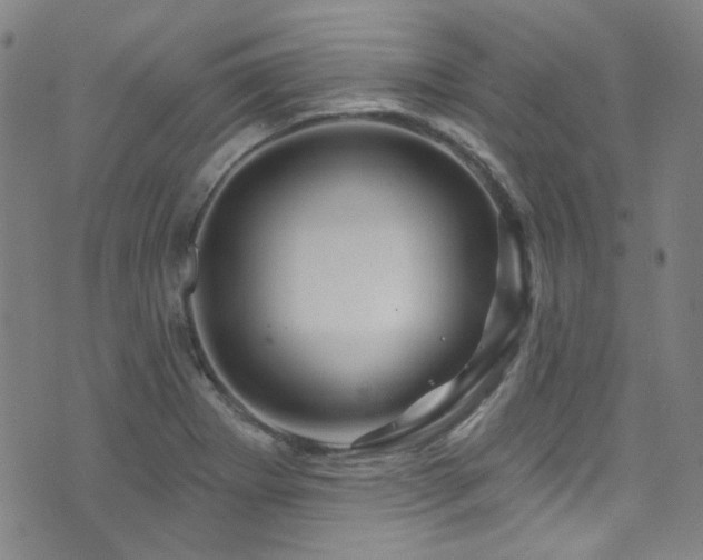 X0000075901273200609151402