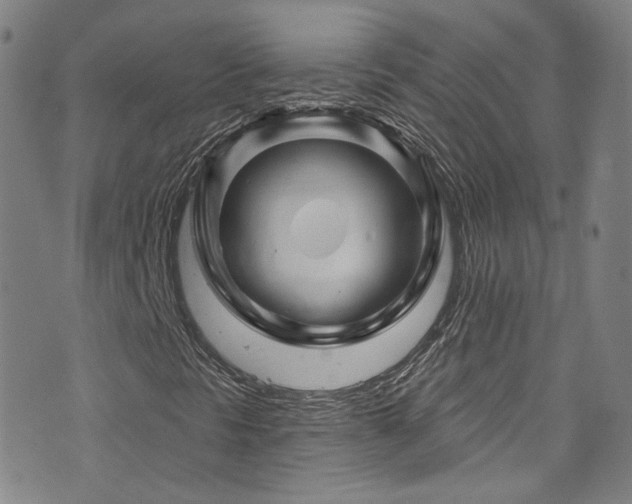 X0000075901297200609151401