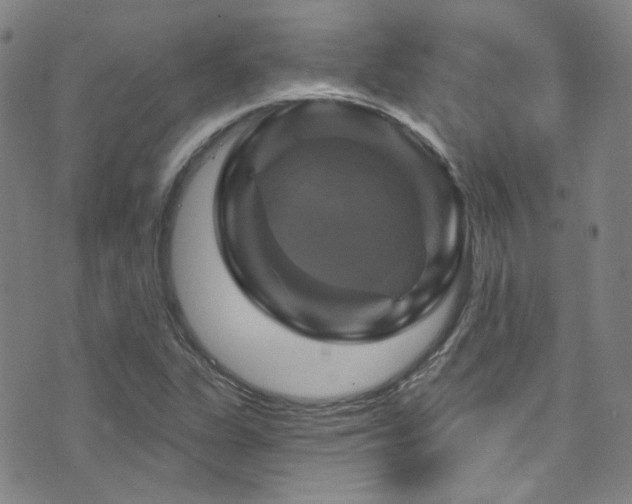 X0000075901311200609151401
