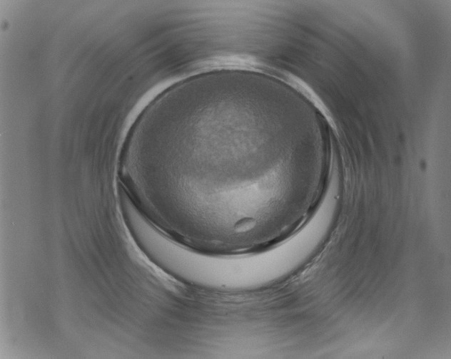 X0000075901339200609151402