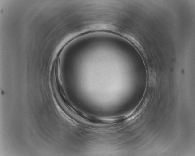X0000075901342200609151402