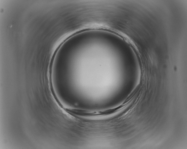 X0000075901343200609151402