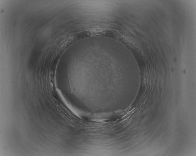 X0000075901346200609151401